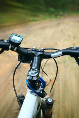 Aluguer de bicicletas (desde 1h)