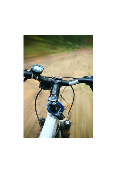 Aluguer de bicicletas (desde 1h)