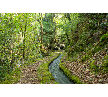 26/4 Trilho Levada de Piscaredo (Mondim de Basto)