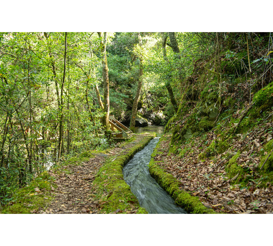 26/4 Trilho Levada de Piscaredo (Mondim de Basto)