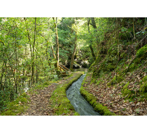 26/4 Trilho Levada de Piscaredo (Mondim de Basto)