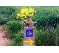 25/4 Caminho Português da Costa Etapa 5 - Viana Castelo / Caminha