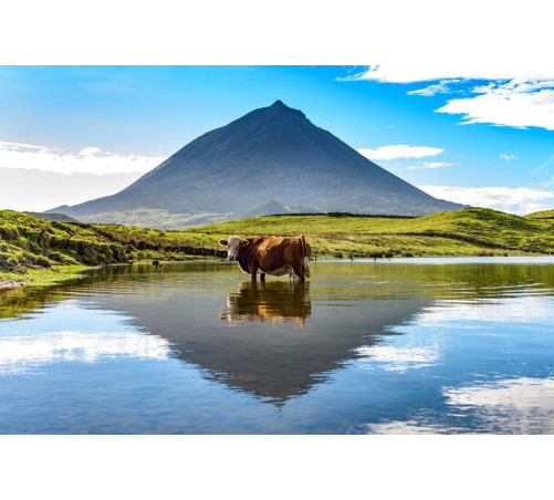 3/10 Triângulo dos Açores: Pico / Faial / São Jorge