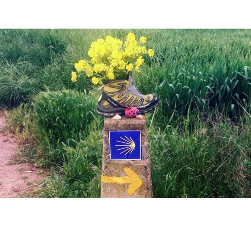 18/4 Caminho da Costa Etapa 4: Esposende - Viana do Castelo