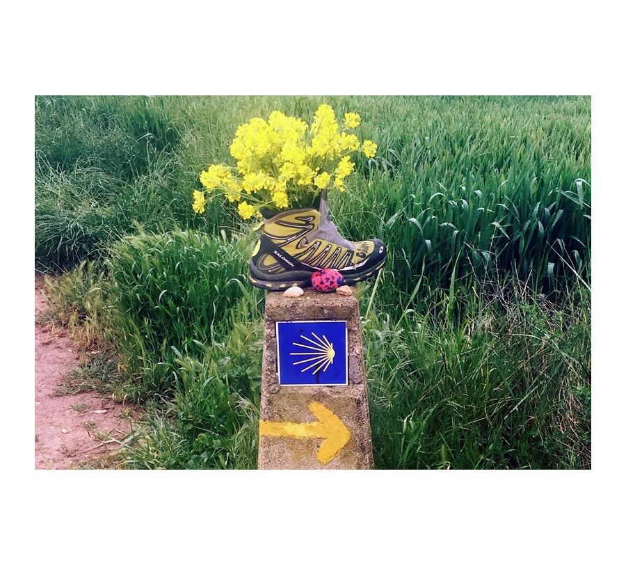 16/5 Caminho Português da Costa Etapa 7 - S. Pedro Torre / Porriño