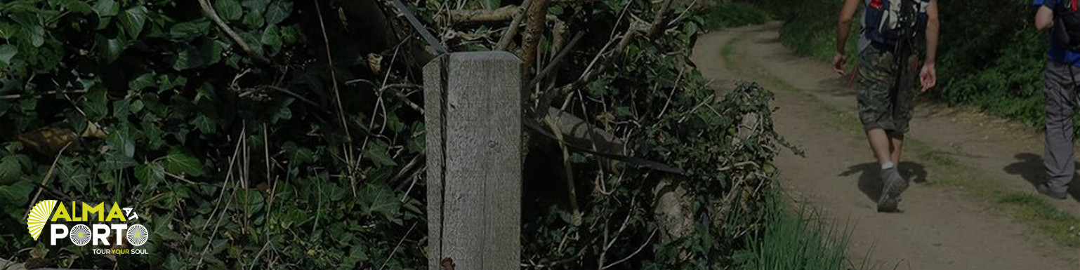 Fora da Caixa